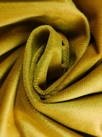 Холандско кадифе